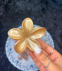 Large Plumeria Flower Claw Clip - Liwitan